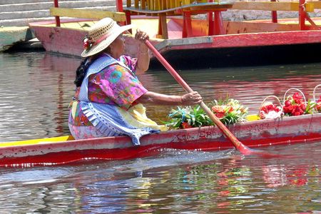 Xochimilco, Coyoacán and Frida Kahlo Museum with skip-the-line tickets