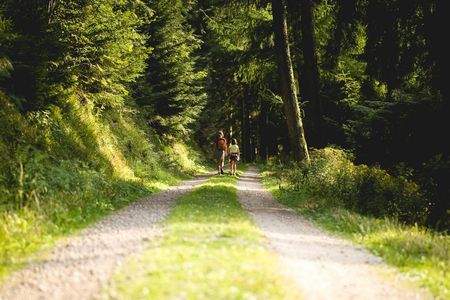 Panorama private hike through the Black Forest with a Local