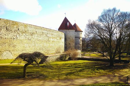 Self-guided Discovery Walk in Tallinn legends of the Old Town