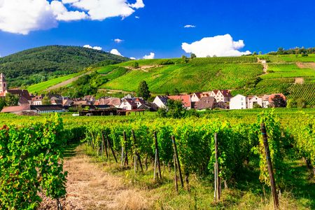 Alsace villages half day trip from Strasbourg