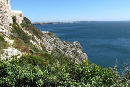 Sagres full-day birdwatching tour