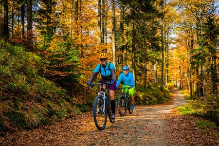 Biking tour on Ljubljana's MTB trail