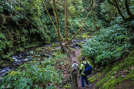 Hiking tour to Moinho do Félix from São Miguel