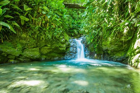 Mindo full-day tour