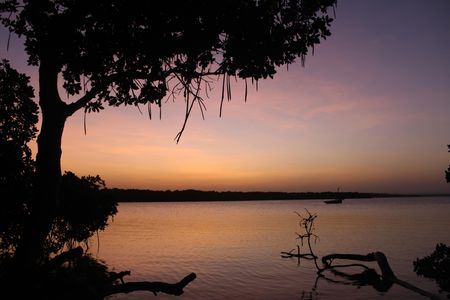 Mida Creek Boat Ride and Snorkeling at Watamu Marine Park