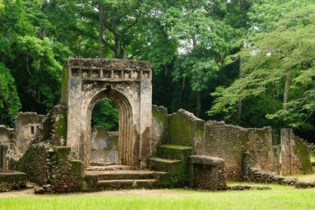Arabuko Sokoke Forest and Gedi Ruins Day Tour from Mombasa North Coast