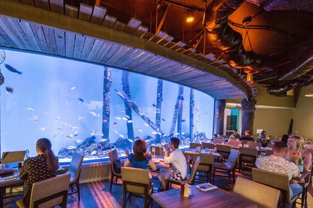 Cairns aquarium and small group city sightseeing tour