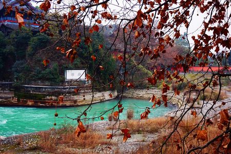 Full day private tour Taoist mountain and Dujiangyan irrigation