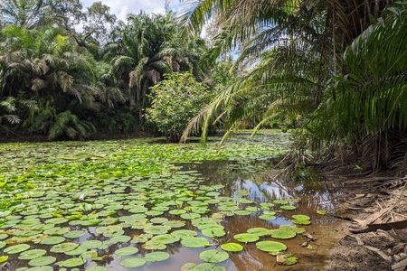 Zanzibar hiking in Masingini Forest private tour