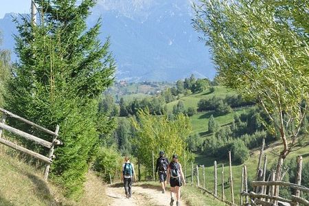 Piatra Craiului National Park private hiking tour from Brasov