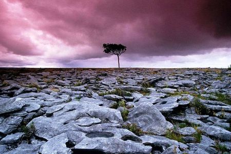 Cliffs of Moher and the Burren tour from Galway City