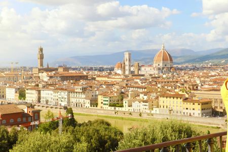 Florence city pass for 5 days with Uffizi, Accademia and Dome