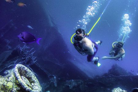 Snuba and snorkel adventure in Aruba