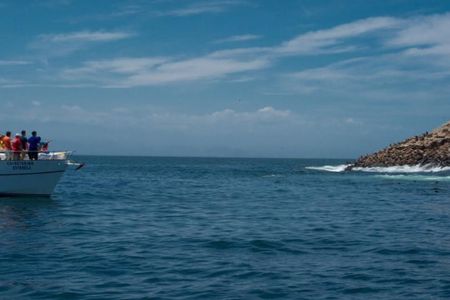 Palomino Islands Boat Tour