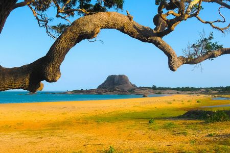 Yala National Park private safari from Galle region