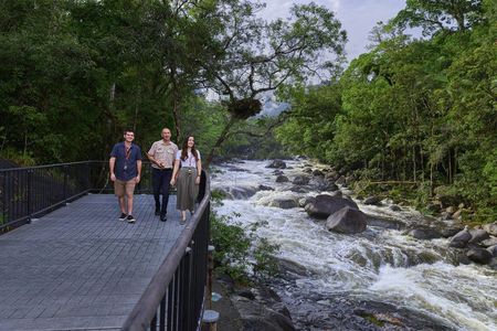 Full-day Cape Tribulation, Daintree and Mossman Gorge with lunch