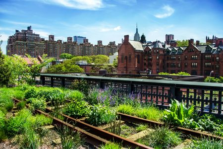 New York City High-Line and Hudson Yards walking tour