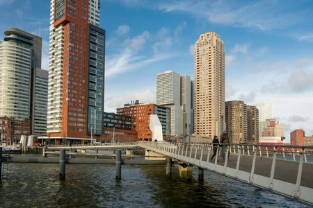 Rotterdam Katendrecht neighborhood private tour