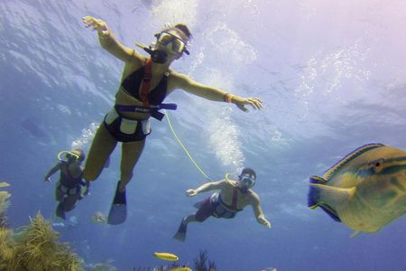 De Palm Island Snuba experience