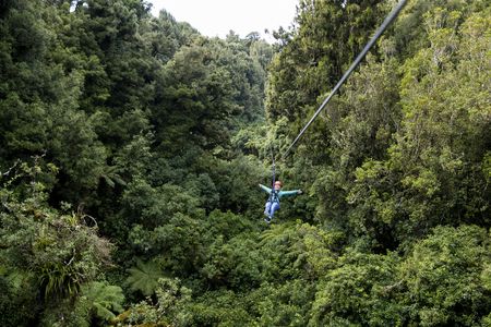 The original canopy experience