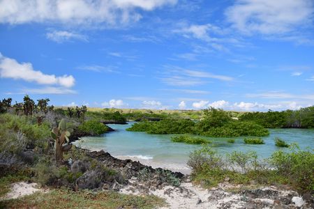 Cerro Mesa Reserve and Garrapatero beach day trip