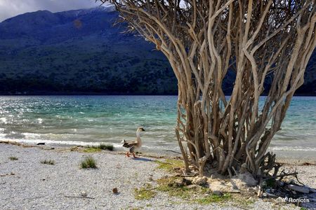 Tour of southern unspoiled Crete from Rethymno