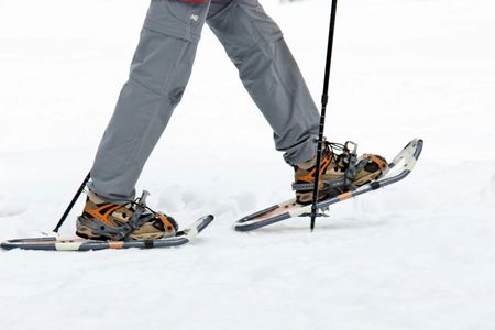 Private Tromsø snowshoeing tour with a TeslaX car ride