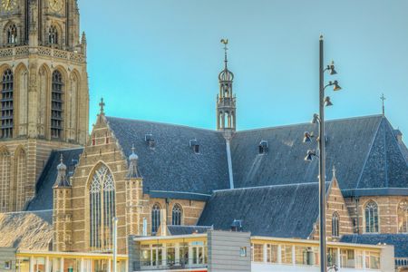 Rotterdam highlight private walking tour
