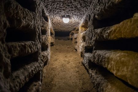 Catacombs entry ticket and guided tour with transfer