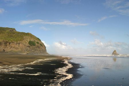 Auckland coast and rainforest walk day tour