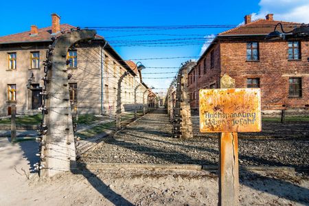 Auschwitz-Birkenau guided tour with fast track ticket