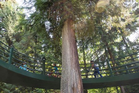 Vancouver Grand cycling tour