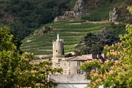 Full-day tour of the Northern Rhône Valley with tasting