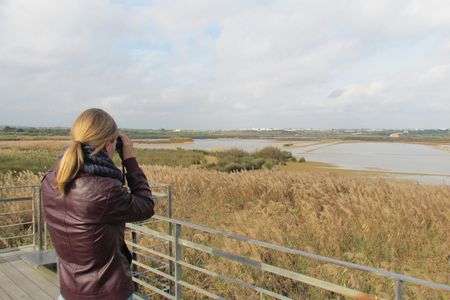 Lagoa dos Salgados half-day birdwatching tour