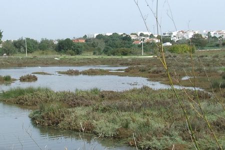 Abicada lagoon half-day tour