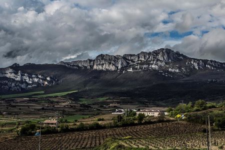 Winery visit in La Rioja with tasting and lunch from Vitoria