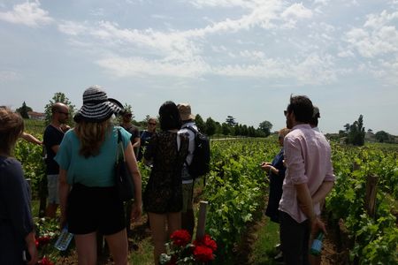 Half-day trip to Saint-Emilion wine estates from Bordeaux
