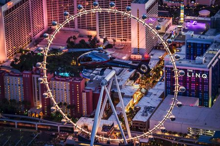 Neon and Nature tour of Las Vegas