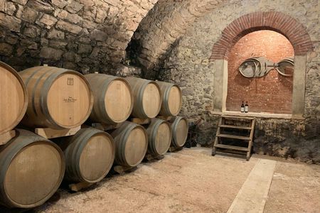 Valpolicella private tour with olive oil tasting
