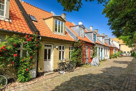 Introductory walking tour of Aarhus with a local