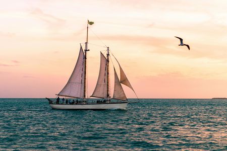 Appledore Star day sail tour