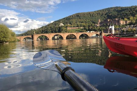 Guided kayak tour on the Neckar in Heidelberg
