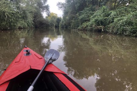 Guided kayak tour on the Neckar near Ladenburg