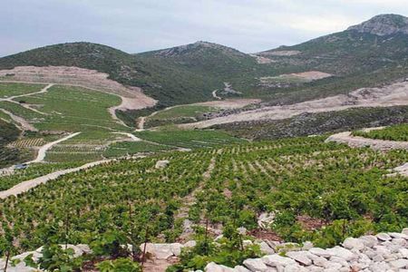 Private tour to Peljesac and Ston from Dubrovnik with wine tasting