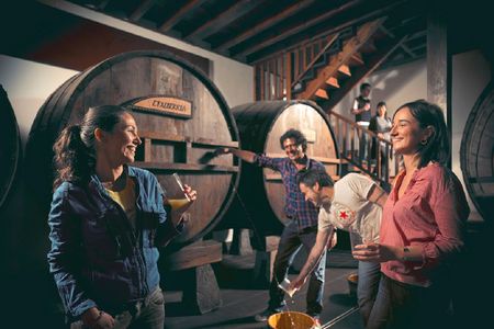 Cider house tour in San Sebastián