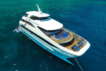 Great Barrier Reef Snorkeling and Diving Cruise