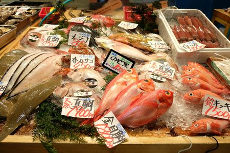 Tokyo's Tsukiji Fish Market guided tour