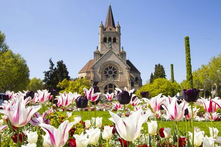 Exclusive private guided tour through the architecture of Basel with a local