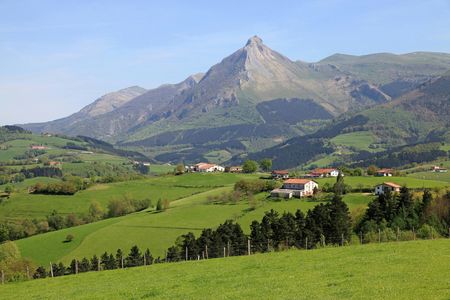 Idiazabal Basque cheese tour from San Sebastian