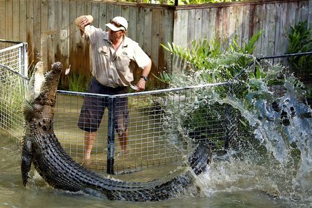 Half-day Hartley's crocodile adventures